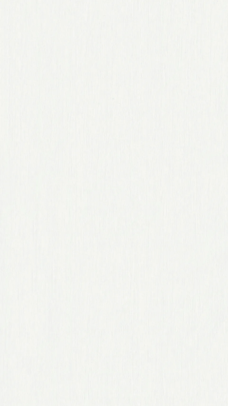 Fineline blanco 4029 MEISTER