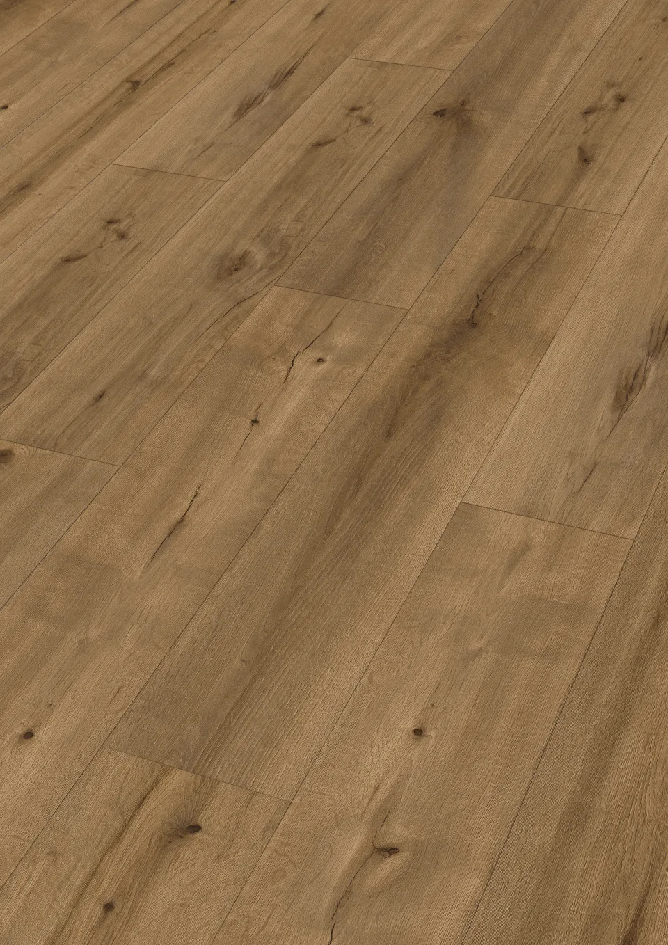 Tacoma Oak bernstein 7455 · 3