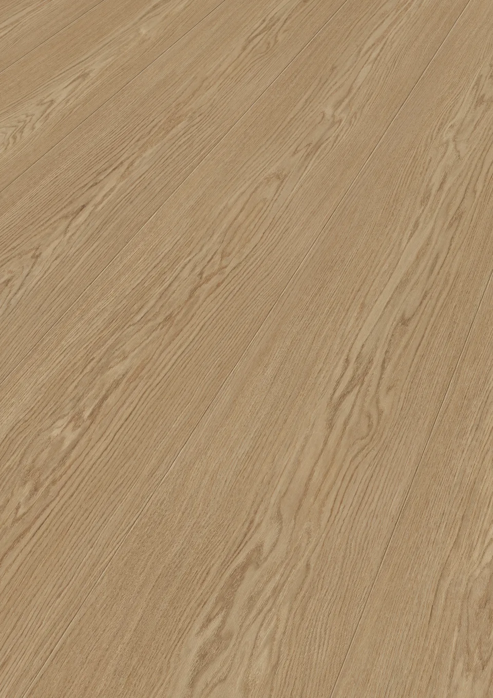 Big Creek Oak 7156 · 3