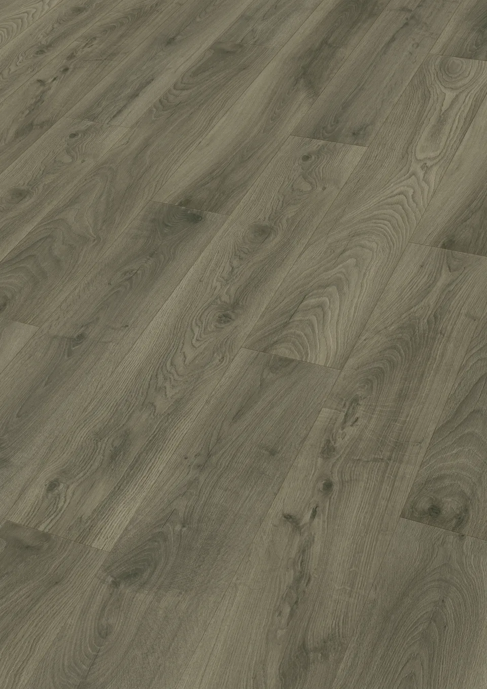 Roble gris crema 7005 MEISTER
