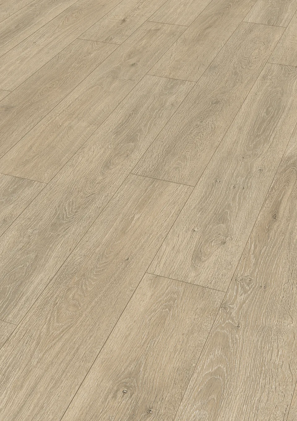 Eiche Caledonia 6421 · 2