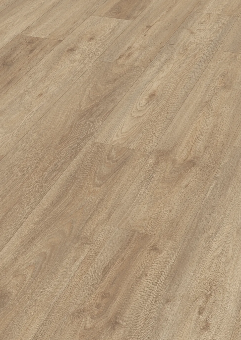 Kingdom Oak 6899 MEISTER