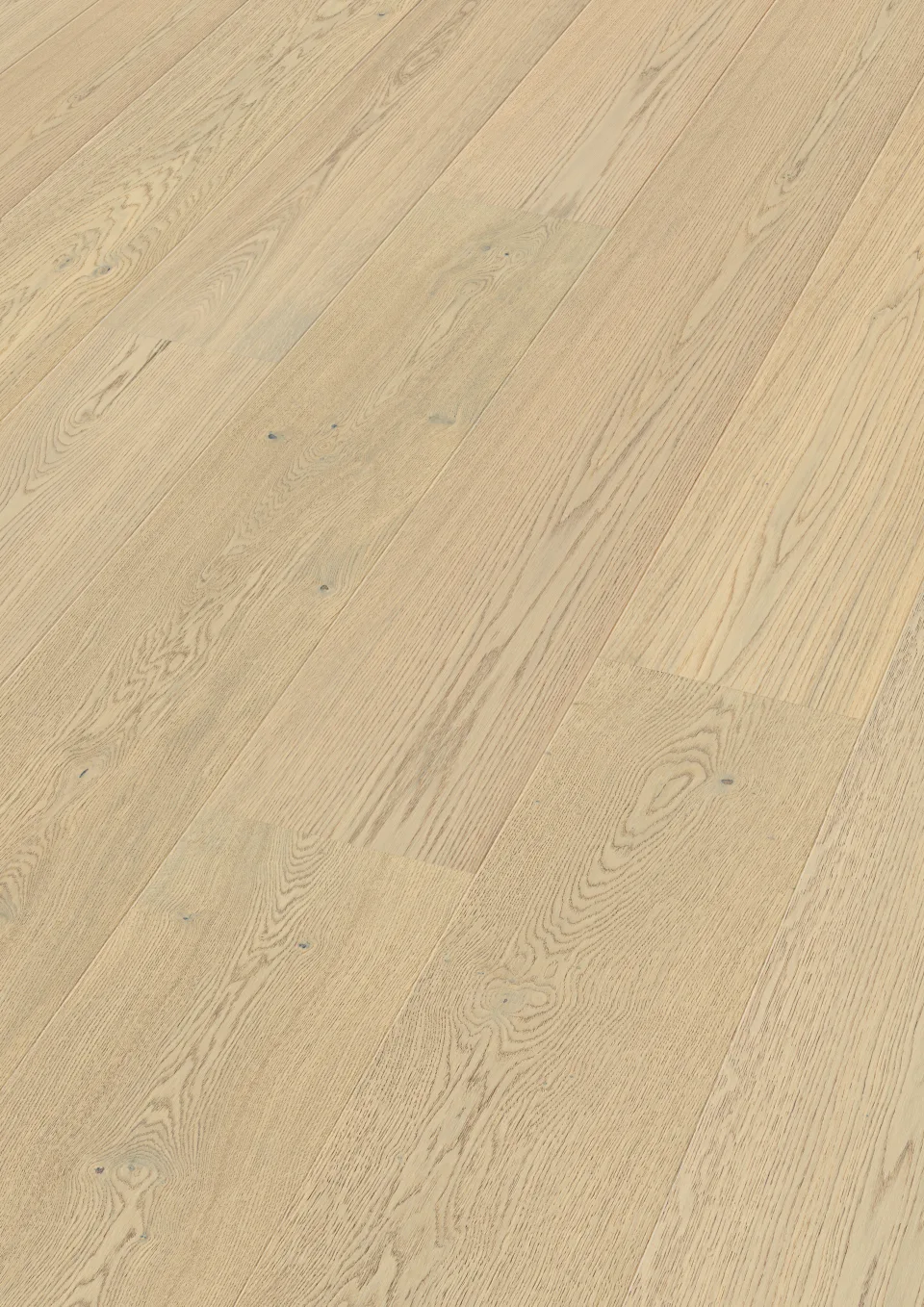 Oak lively cream leche 20228 · 3