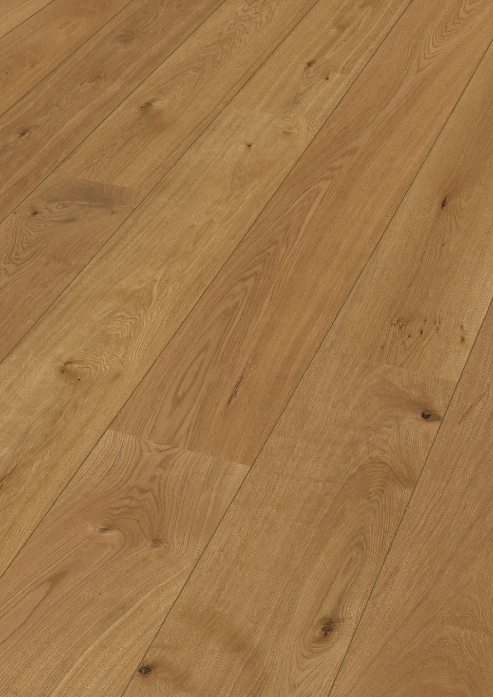 Eiche lebhaft 8900 · 6