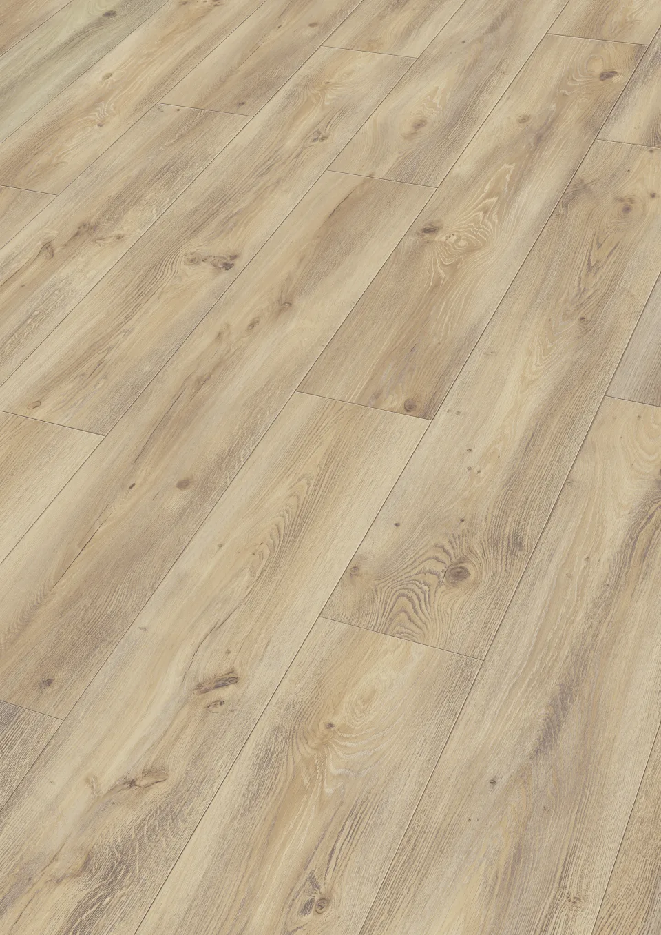 Desert Oak 6998 · 5