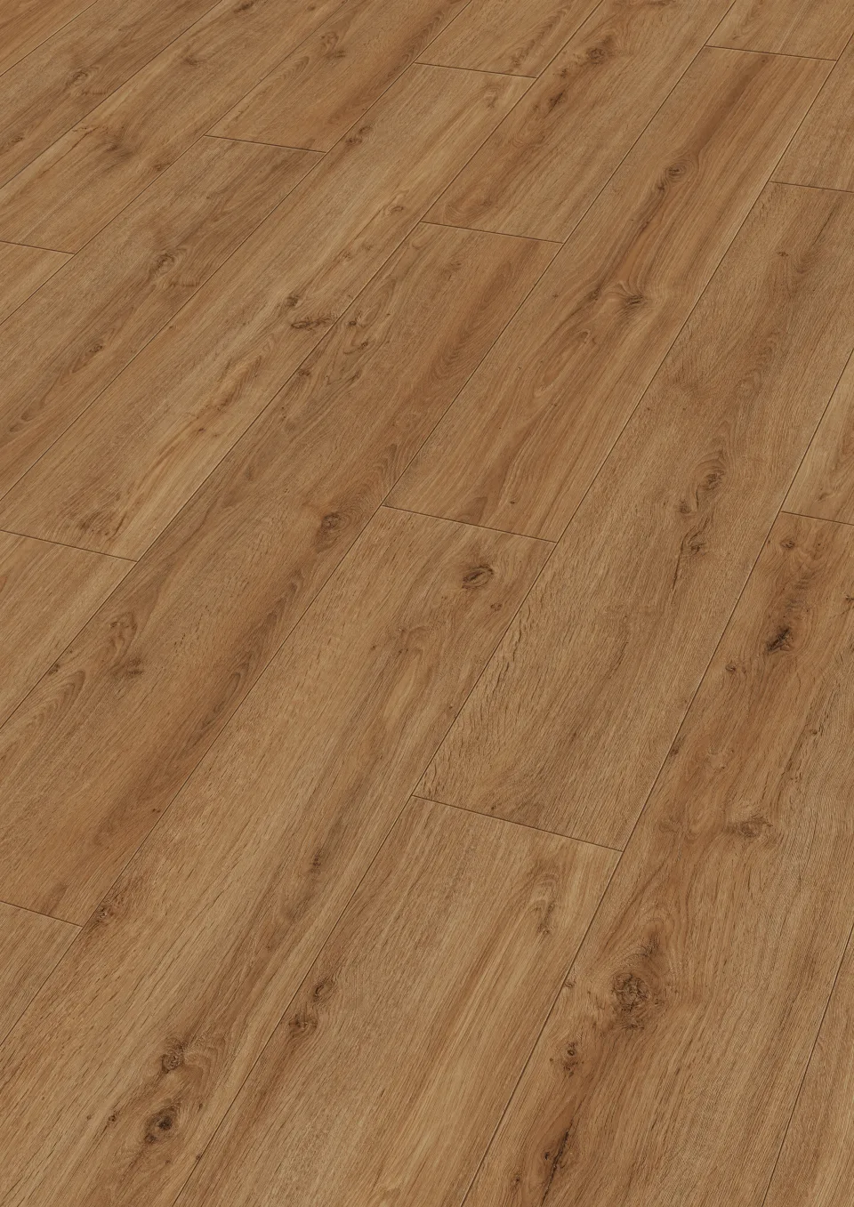 Golden Oak 6999 · 4