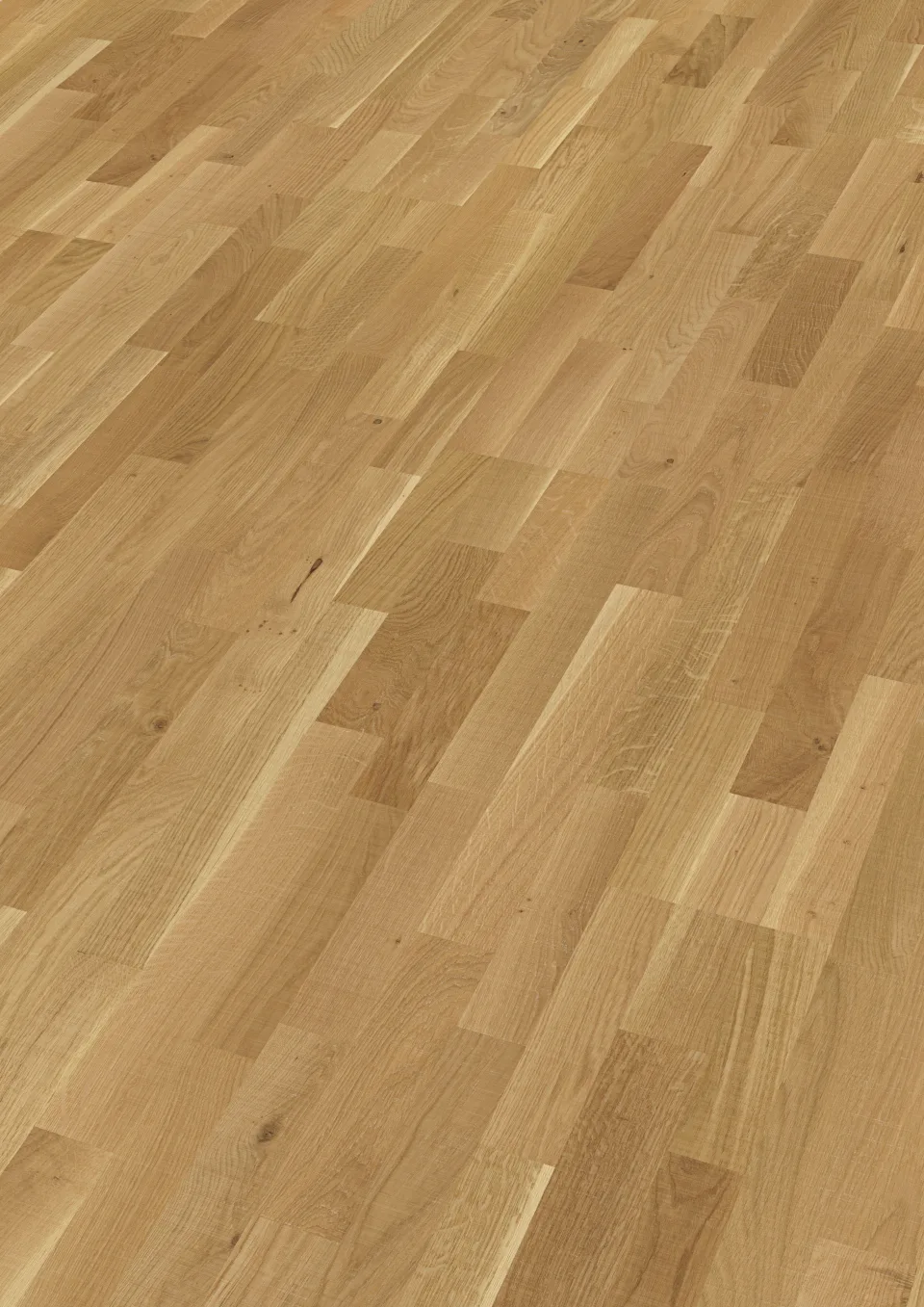 Eiche lebhaft 9041 · 3