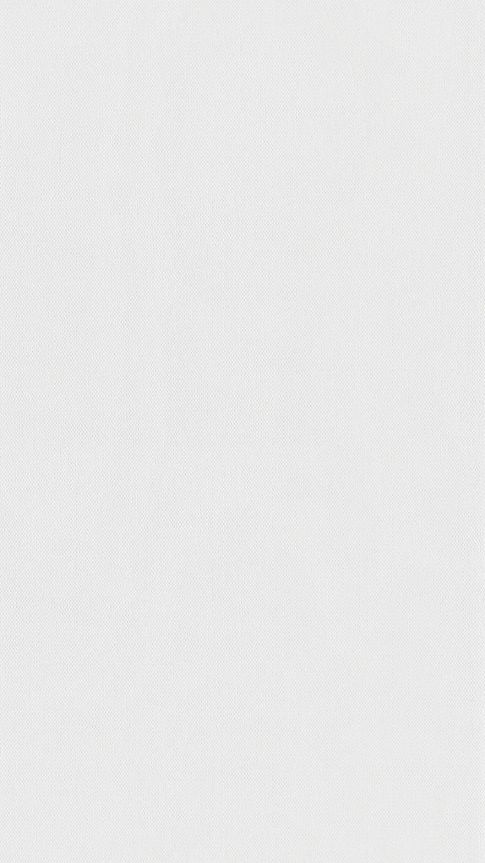 White mesh 20101 · 4