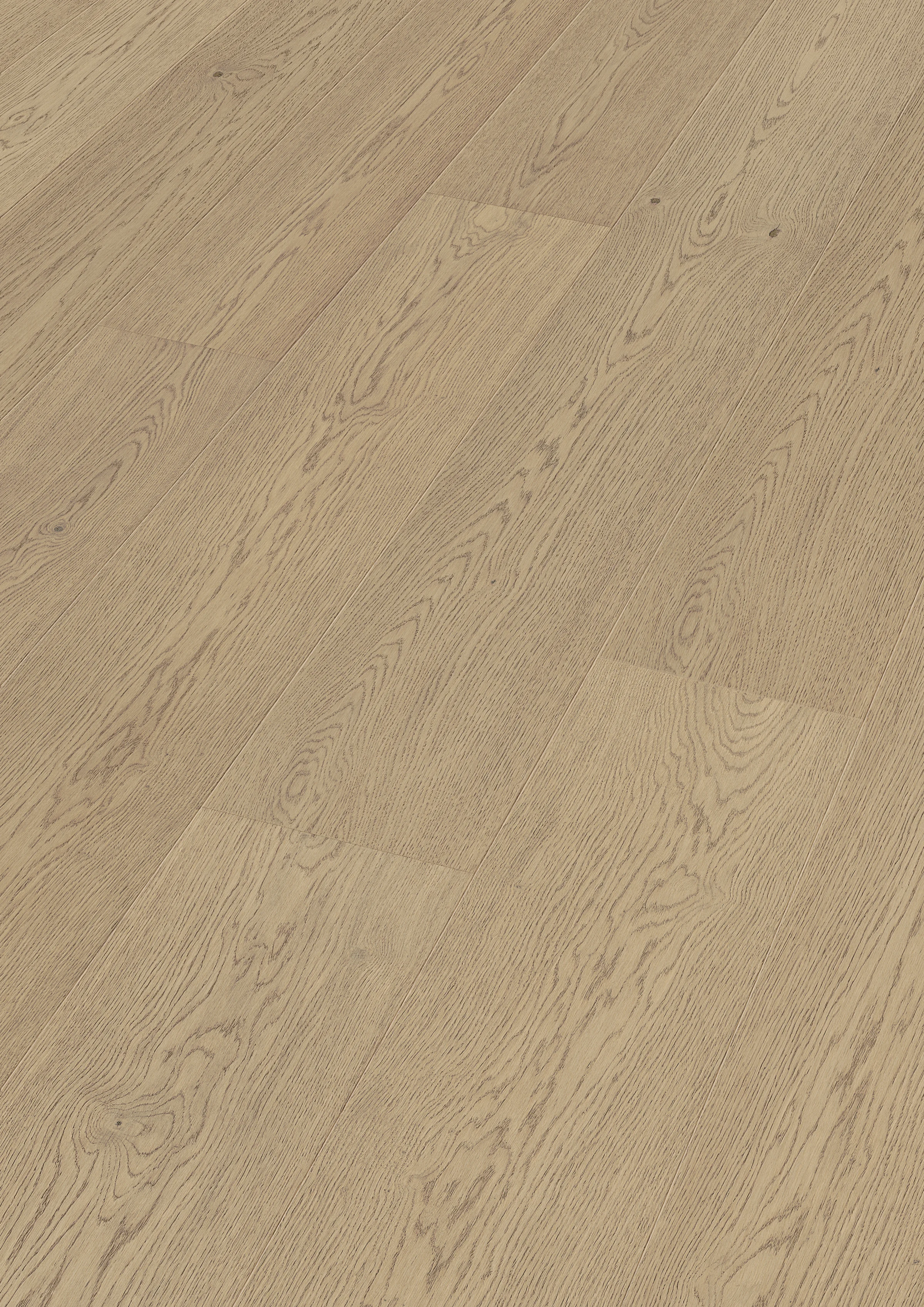 Perspectiva del acabado de Roble natural gris arena 20224 MEISTER