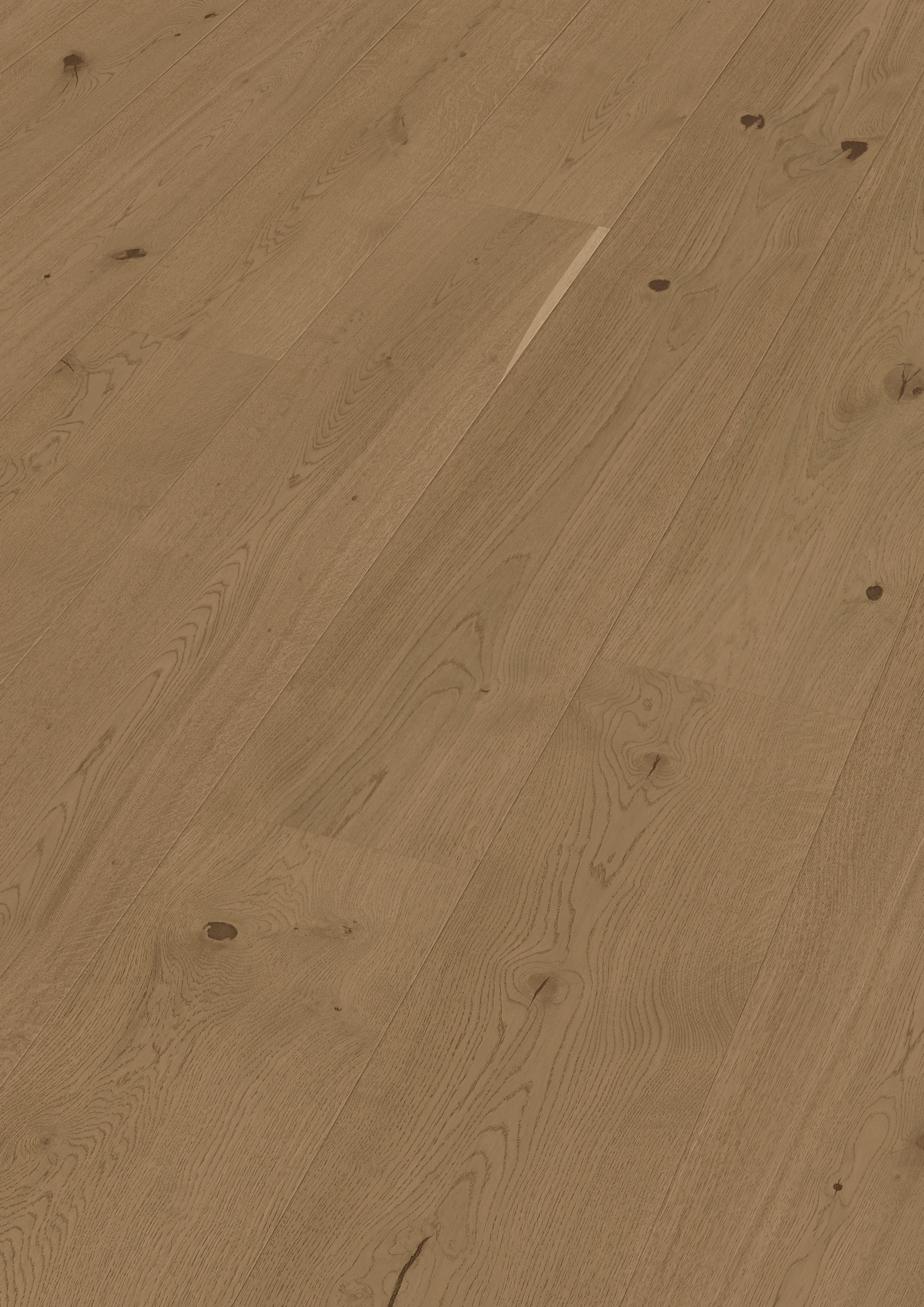 Perspectiva del acabado de Roble auténtico marrón barro 20225 MEISTER